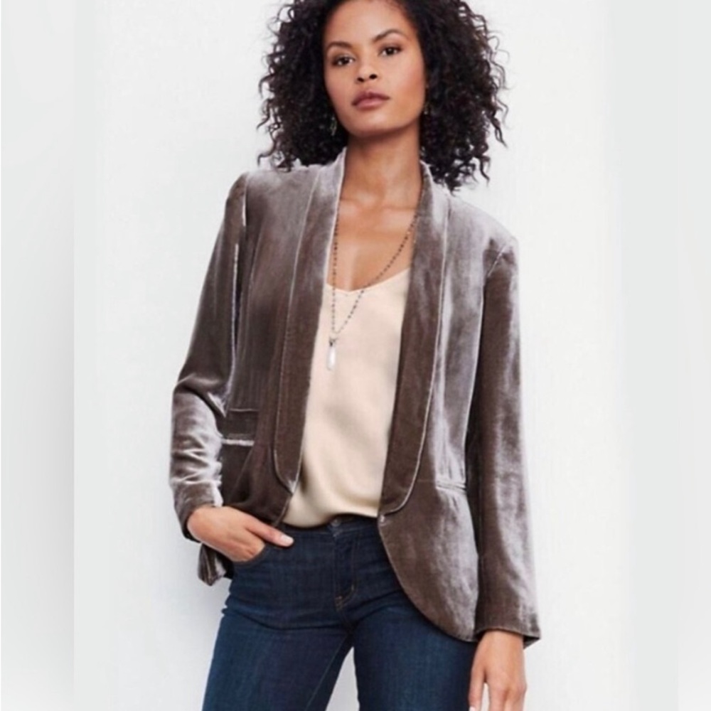 Brown Garnet Hill Velvet Blazer